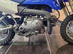 2009 Yamaha TTR50E BLUE
