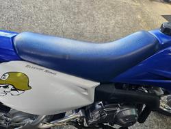 2009 Yamaha TTR50E BLUE