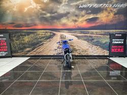 2009 Yamaha TTR50E BLUE