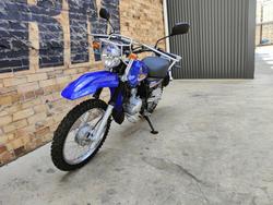 2025 YAMAHA AG125 FARM BLUE