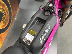 2025 Sur-ron LIGHT BEE X Pink