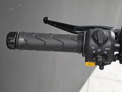 2025 Royal Enfield 2025 Royal Enfield 450CC GUERILLA 450 Road Silver