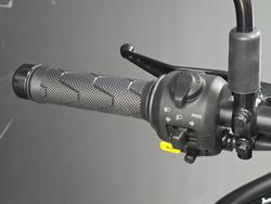 2025 Royal Enfield 2025 Royal Enfield 450CC HIMALAYAN 450 Road Silver