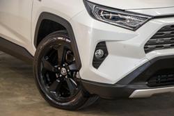 2021 Toyota RAV4 Cruiser