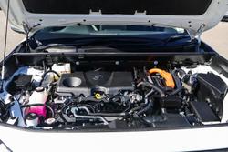 2022 Toyota RAV4 Cruiser