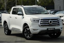 2022 GWM Ute Cannon-X