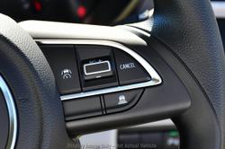 2025 Suzuki Swift Hybrid