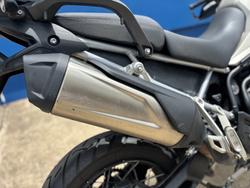 2023 TRIUMPH TIGER 900 RALLY PRO Beige