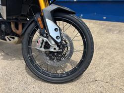 2023 TRIUMPH TIGER 900 RALLY PRO Beige