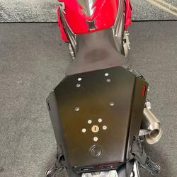 2014 BMW Motorrad S 1000 R Red