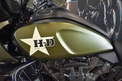 2022 HARLEY-DAVIDSON RA1250S PAN AMERICA SPECIAL