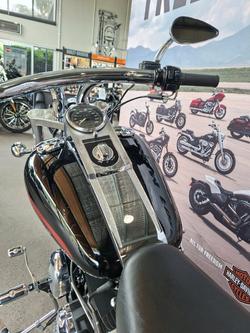 2008 HARLEY-DAVIDSON FXST SOFTAIL STANDARD