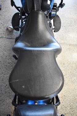 2009 HARLEY-DAVIDSON FLSTSB SOFTAIL CROSS BONES