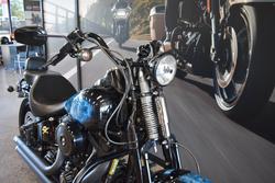 2009 HARLEY-DAVIDSON FLSTSB SOFTAIL CROSS BONES