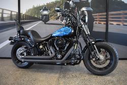 2009 HARLEY-DAVIDSON FLSTSB SOFTAIL CROSS BONES