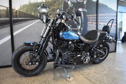 2009 HARLEY-DAVIDSON FLSTSB SOFTAIL CROSS BONES