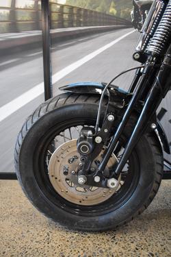 2009 HARLEY-DAVIDSON FLSTSB SOFTAIL CROSS BONES