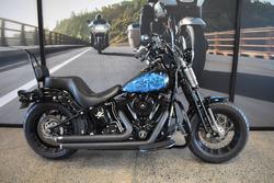 2009 HARLEY-DAVIDSON FLSTSB SOFTAIL CROSS BONES