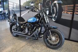 2009 HARLEY-DAVIDSON FLSTSB SOFTAIL CROSS BONES