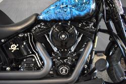 2009 HARLEY-DAVIDSON FLSTSB SOFTAIL CROSS BONES