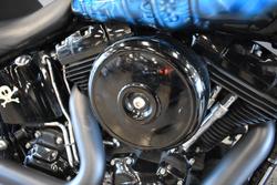 2009 HARLEY-DAVIDSON FLSTSB SOFTAIL CROSS BONES