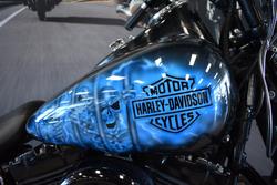 2009 HARLEY-DAVIDSON FLSTSB SOFTAIL CROSS BONES