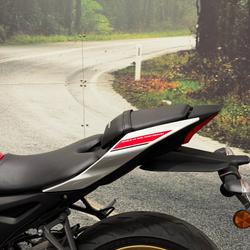 2023 Yamaha YZF-R15M RED/WHITE