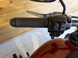 2024 HARLEY-DAVIDSON FXLRS LOW RIDER S (117)