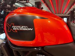2024 Harley-Davidson X 500 X Orange