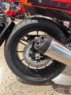 2024 Harley-Davidson X 500 X Orange