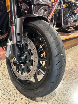 2024 Harley-Davidson X 500 X Orange