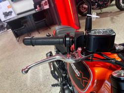 2024 Harley-Davidson X 500 X Orange