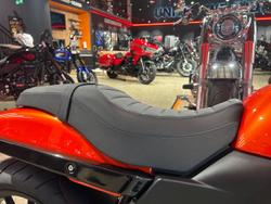 2024 Harley-Davidson X 500 X Orange