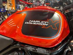 2024 Harley-Davidson X 500 X Orange