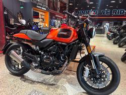 2024 Harley-Davidson X 500 X Orange