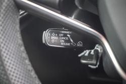 2025 SKODA Fabia 110TSI Monte Carlo