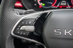 2025 SKODA Fabia 110TSI Monte Carlo