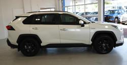 2020 Toyota RAV4 Cruiser