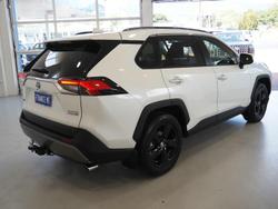 2020 Toyota RAV4 Cruiser