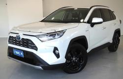 2020 Toyota RAV4 Cruiser