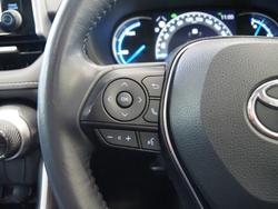 2020 Toyota RAV4 Cruiser