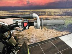 2024 Triumph TF 250-X WHITE