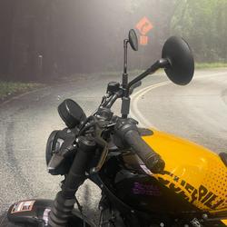 2025 Royal Enfield Guerrilla 450 Playa Black