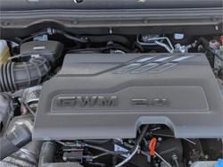 2025 GWM CANNON LUX (4x4)