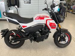 2025 CFMOTO 2025 CFMOTO XO PAPIO TRAIL