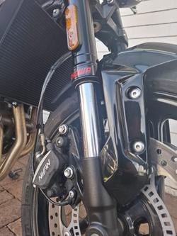 2021 Triumph TRIDENT 660 BLACK