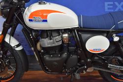 2025 Royal Enfield BEAR 650 White