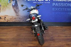 2025 Royal Enfield BEAR 650 White