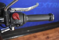 2025 Royal Enfield CLASSIC 350 CHROME Green