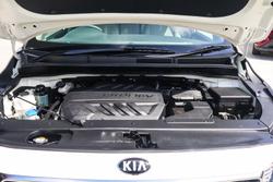 2019 Kia Carnival S